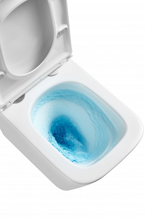 Подвесной унитаз безободковый Terminus Ватикан Монолит 490х340 белый Находка - фото 8 Подвесной унитаз безободковый Terminus Ватикан Монолит 490х340 белый Находка - фото 8