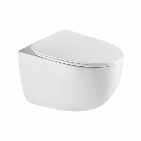 Подвесной унитаз безободковый Terminus Енисей Монолит 560х390 белый Находка - фото 2