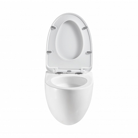 Подвесной унитаз безободковый Terminus Енисей Монолит 560х390 белый Находка - фото 5