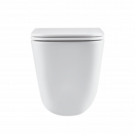 Подвесной унитаз безободковый Terminus Ватикан Монолит 490х340 белый Находка - фото 6 Подвесной унитаз безободковый Terminus Ватикан Монолит 490х340 белый Находка - фото 6