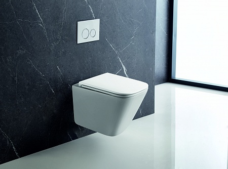 Подвесной унитаз безободковый Terminus Ватикан Монолит 490х340 белый Находка - фото 1 Подвесной унитаз безободковый Terminus Ватикан Монолит 490х340 белый Находка - фото 1